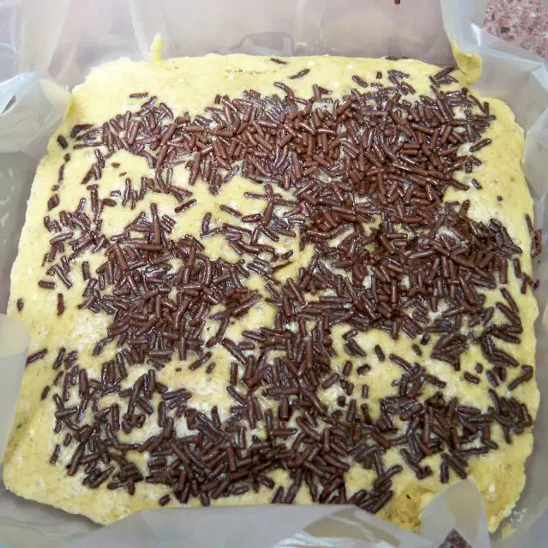 Pan Integral de Arándanos y Chispas de Chocolate