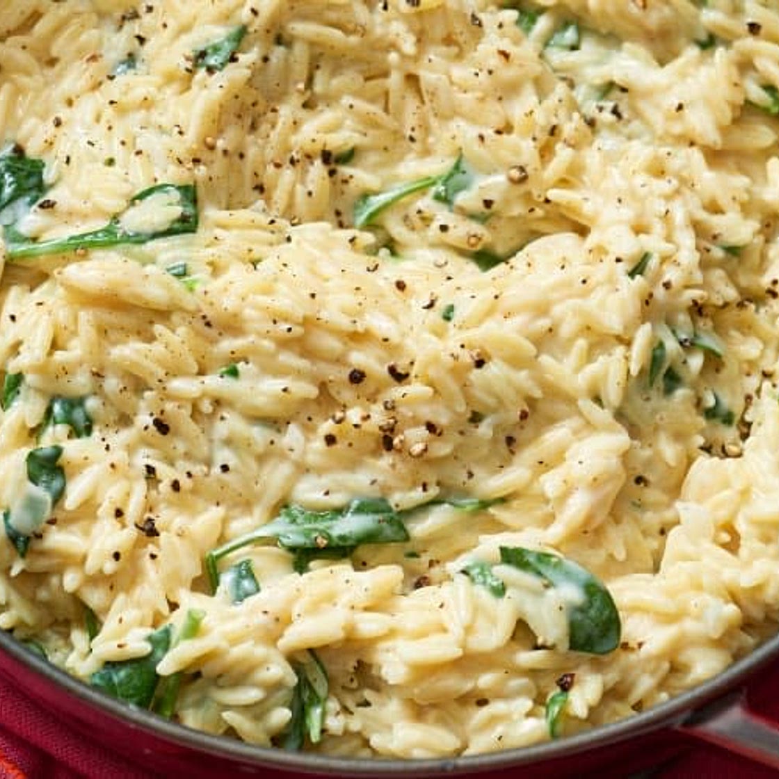 Alfredo Spinach & Orzo with Chicken 