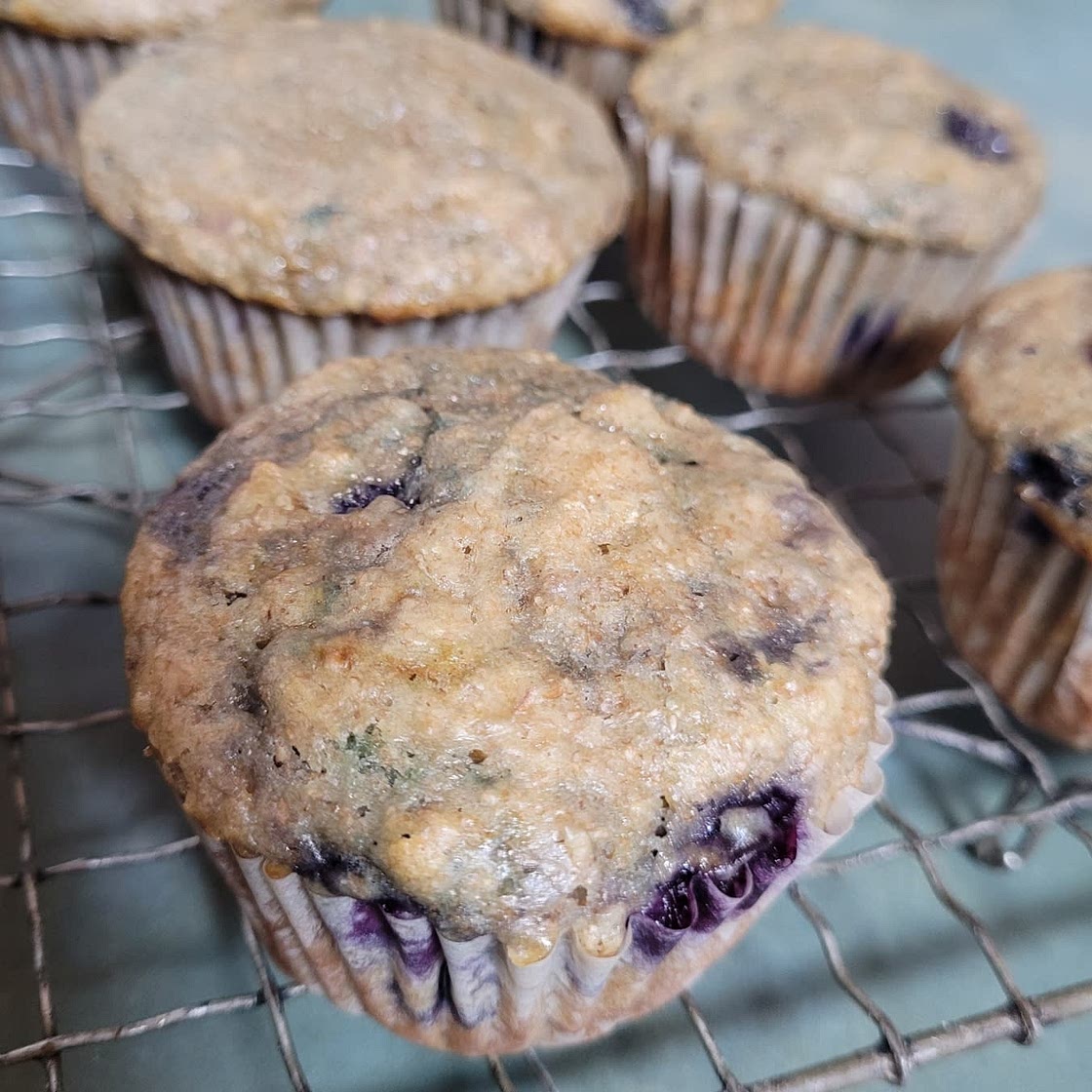 Easy, Delicious Blueberry Muffins with Greek yogurt