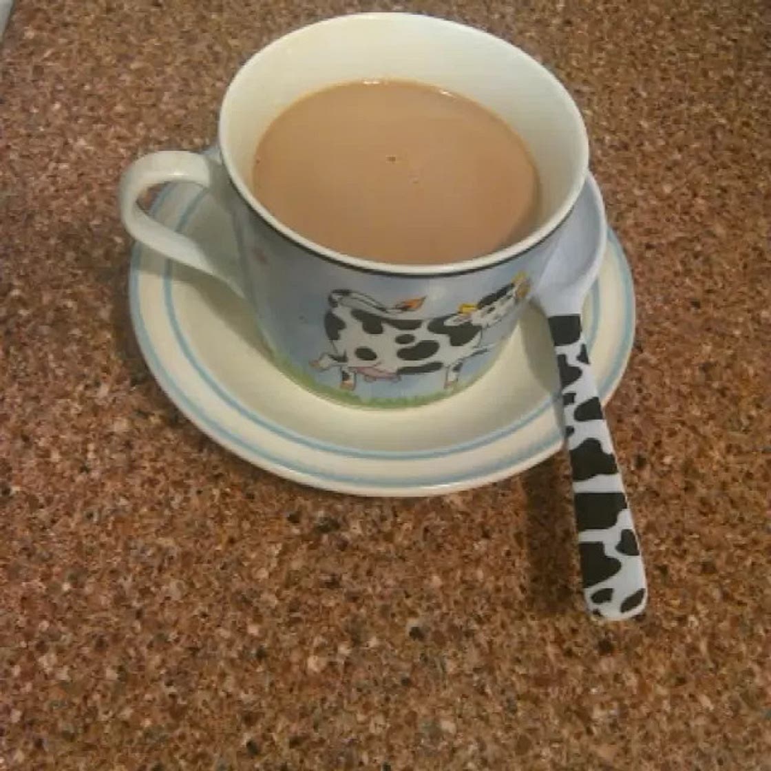 Chocolate Caliente a la Antigua