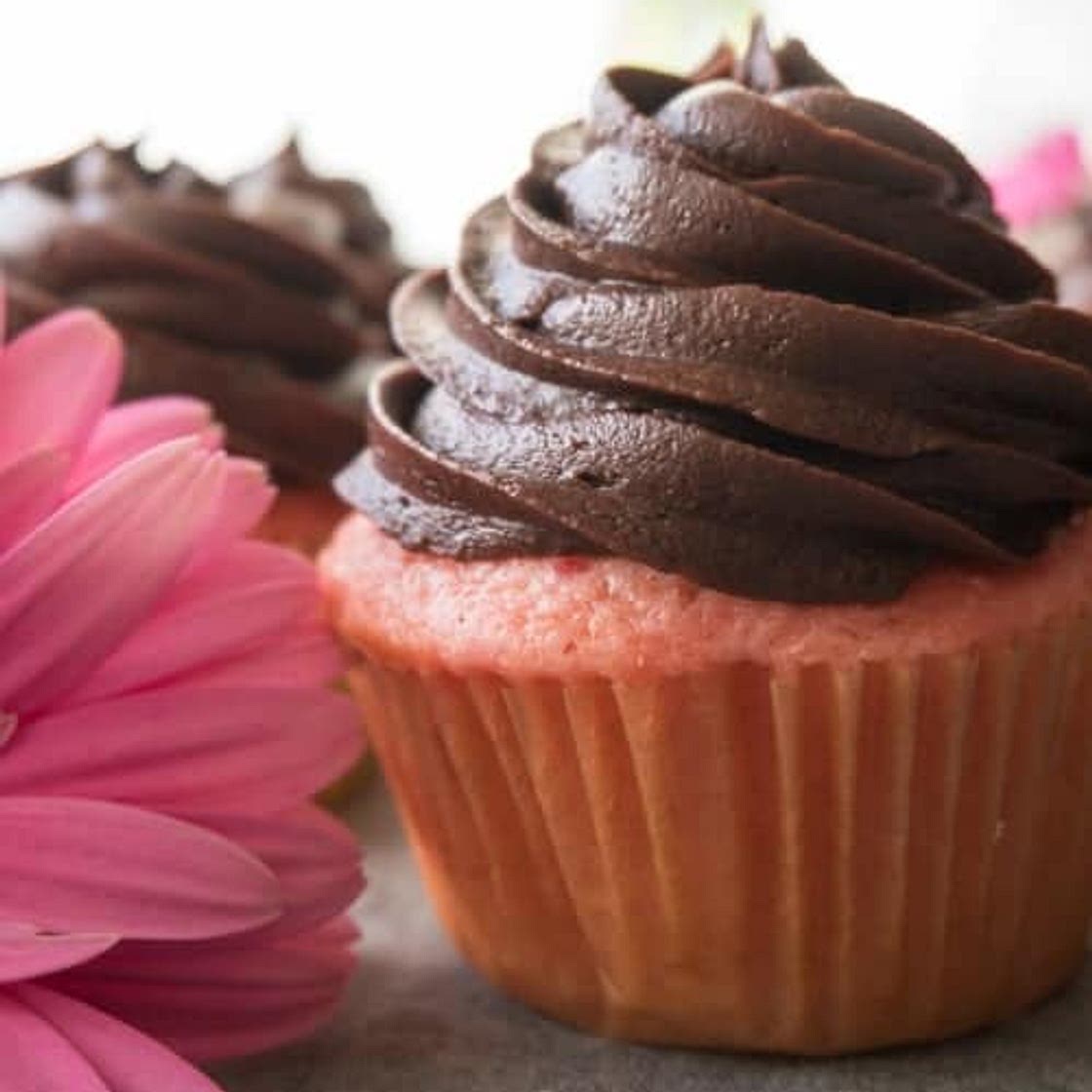 Chocolate Covered Strawberry