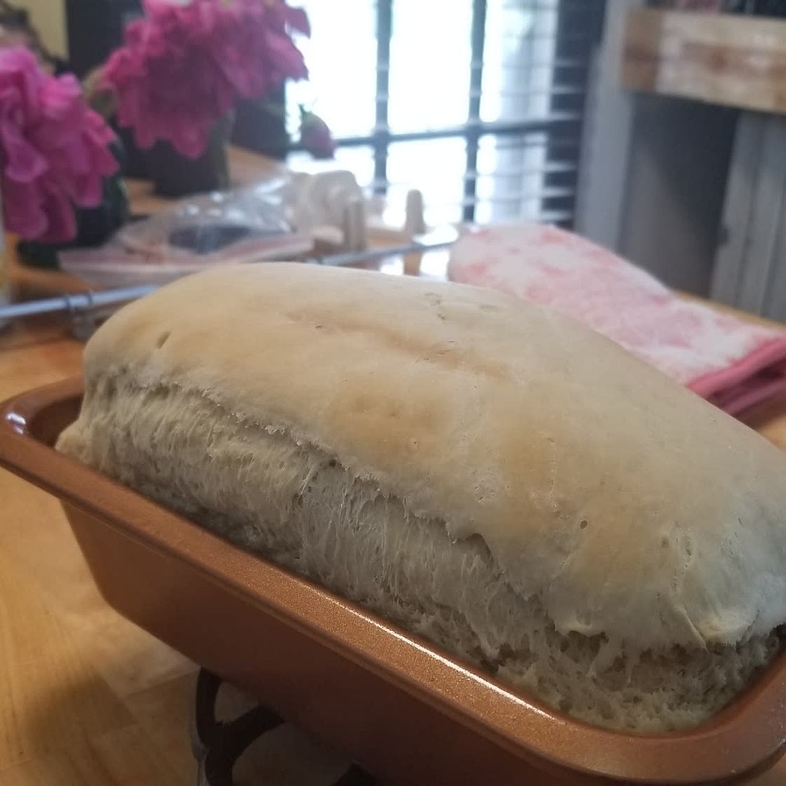 Soft Whole Wheat Bread