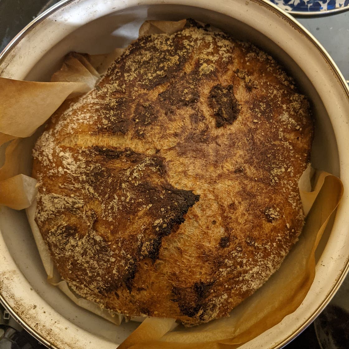 No Knead Whole Wheat Bread