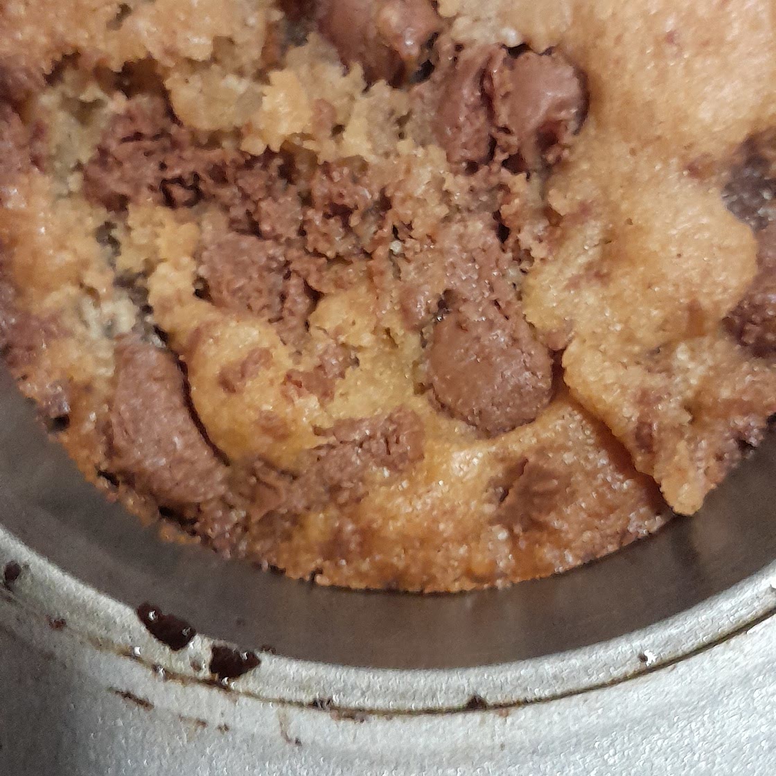 Chocolate chip cupcakes