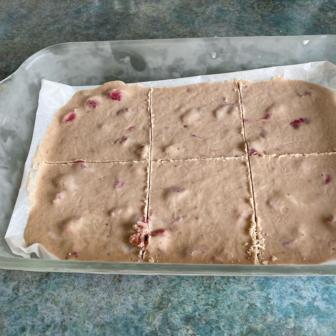 Vegan Frozen Yogurt Protein Bars