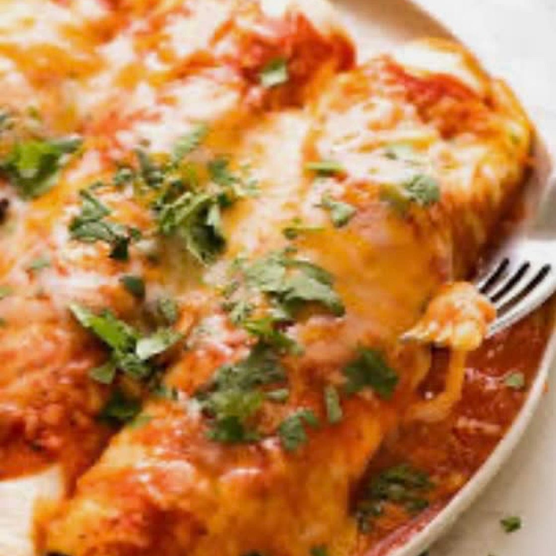 Chicken enchiladas