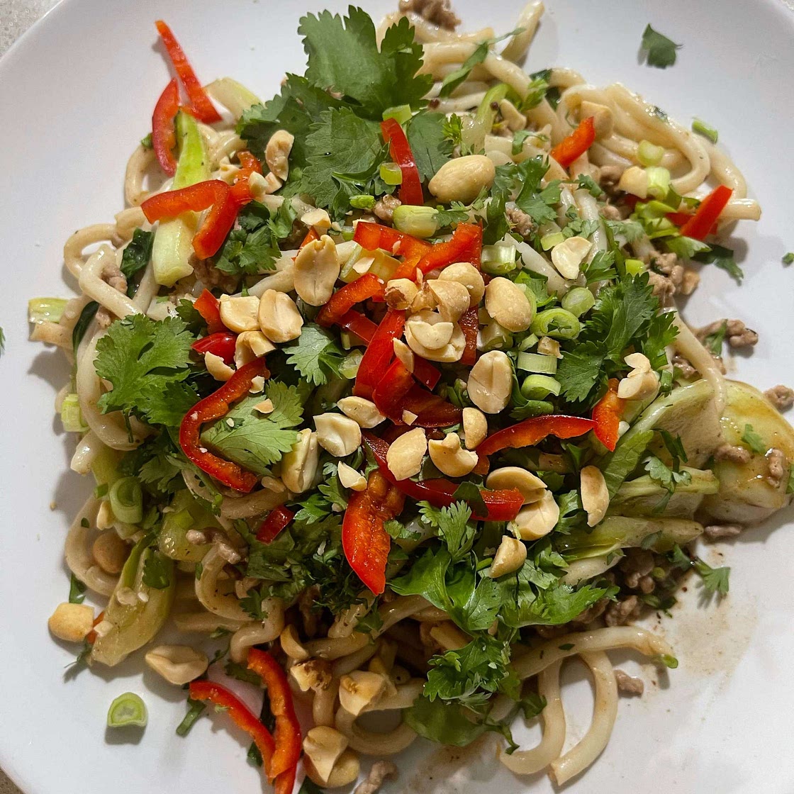 Black bean pork noodles with coriander and peanuts
