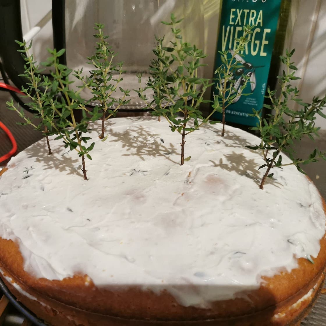Olive Oil Cake