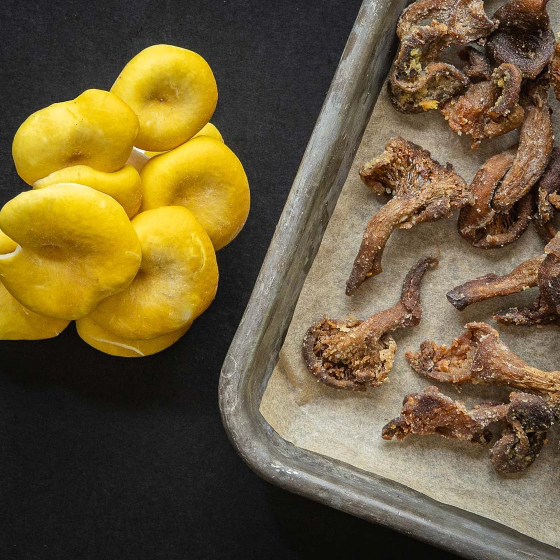 Crispy Baked Oyster Mushrooms