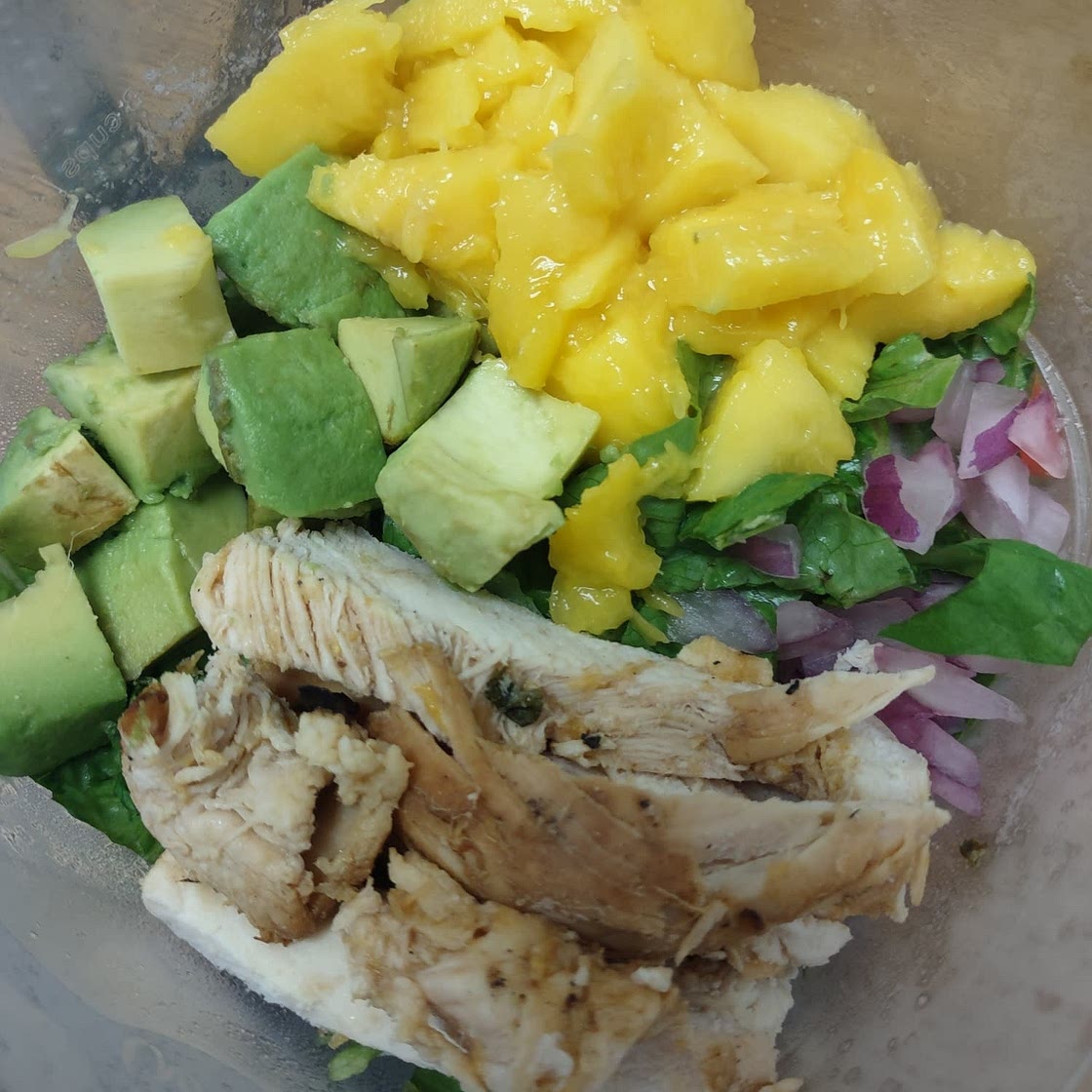 Grilled Chicken Avocado and Mango Salad