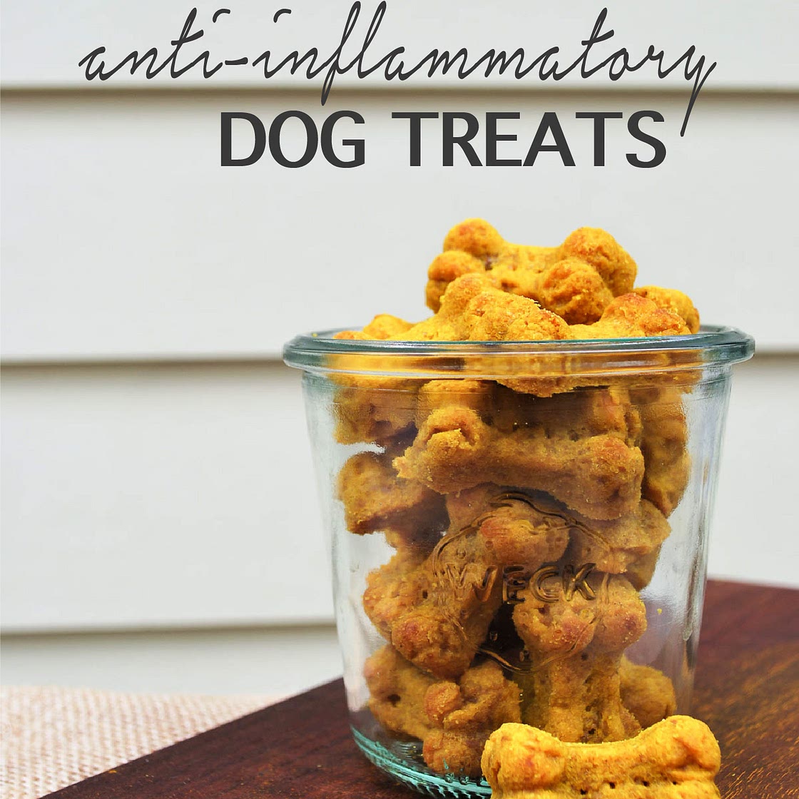 Anti-Inflammatory Dog Treats