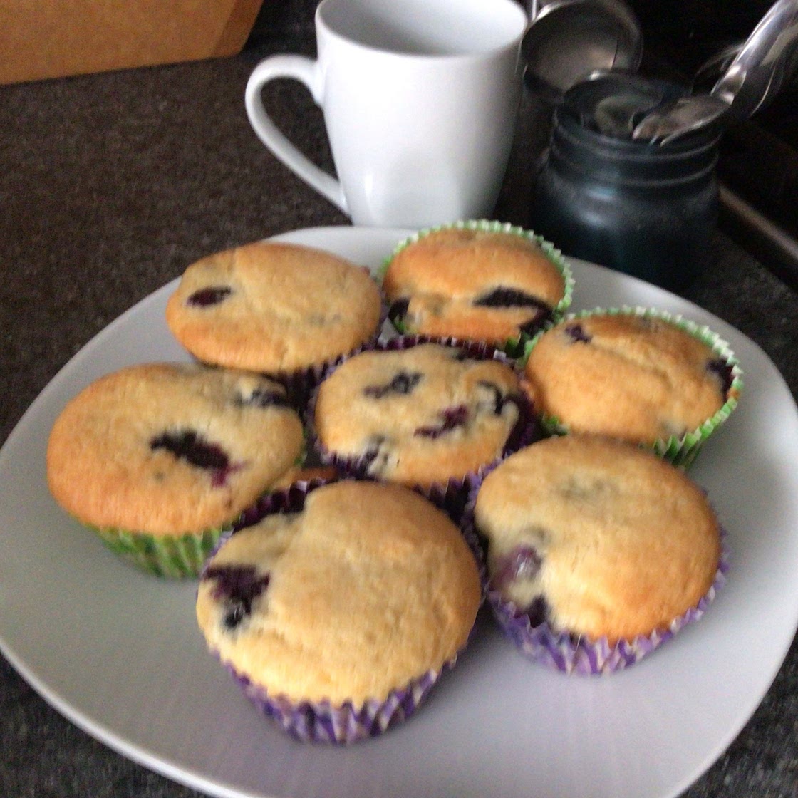 Greek Yogurt Blueberry Muffins (Low Sugar Recipe)