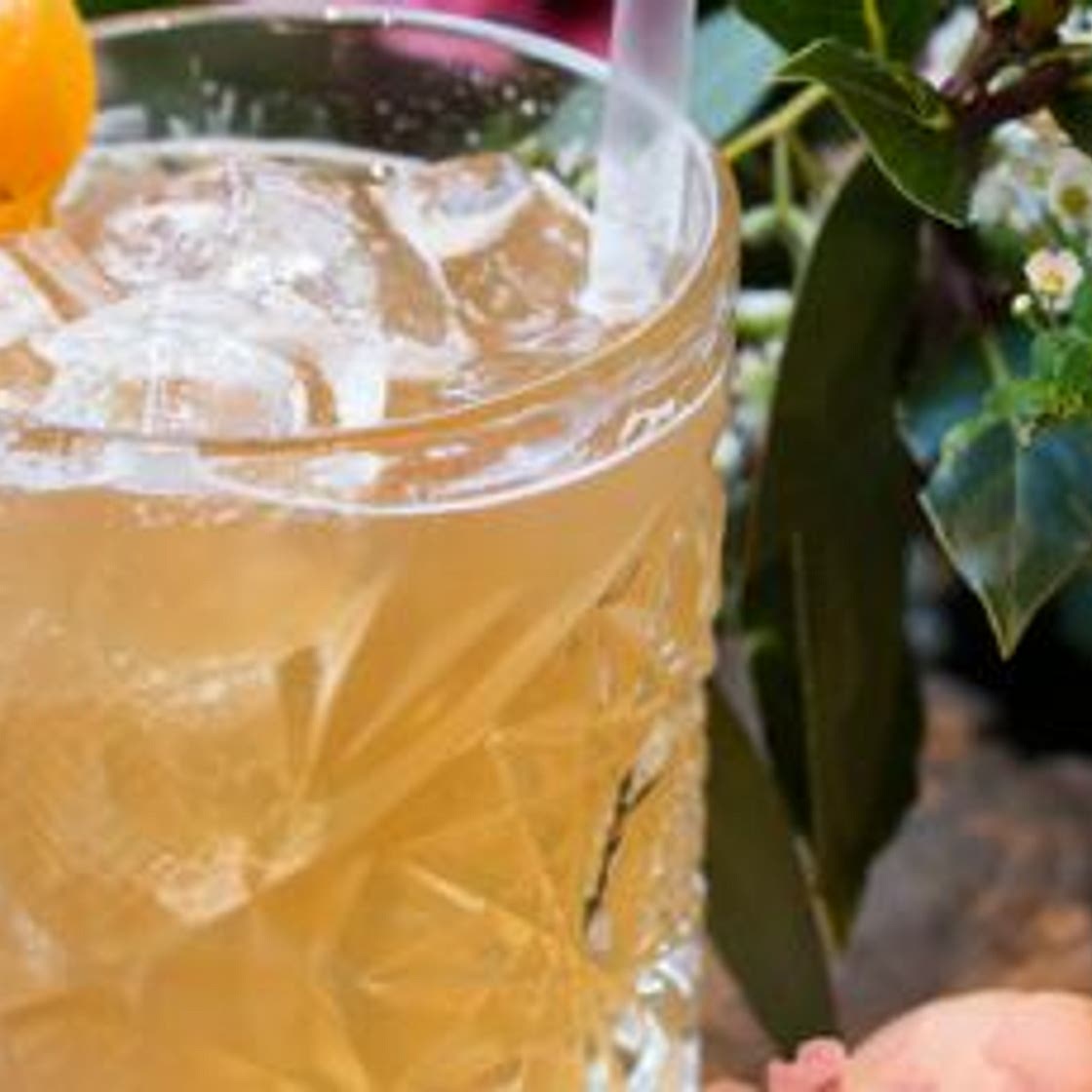 Cocktail thé pamplemousse et Cognac