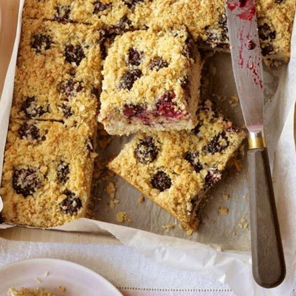 Blackberry & coconut squares