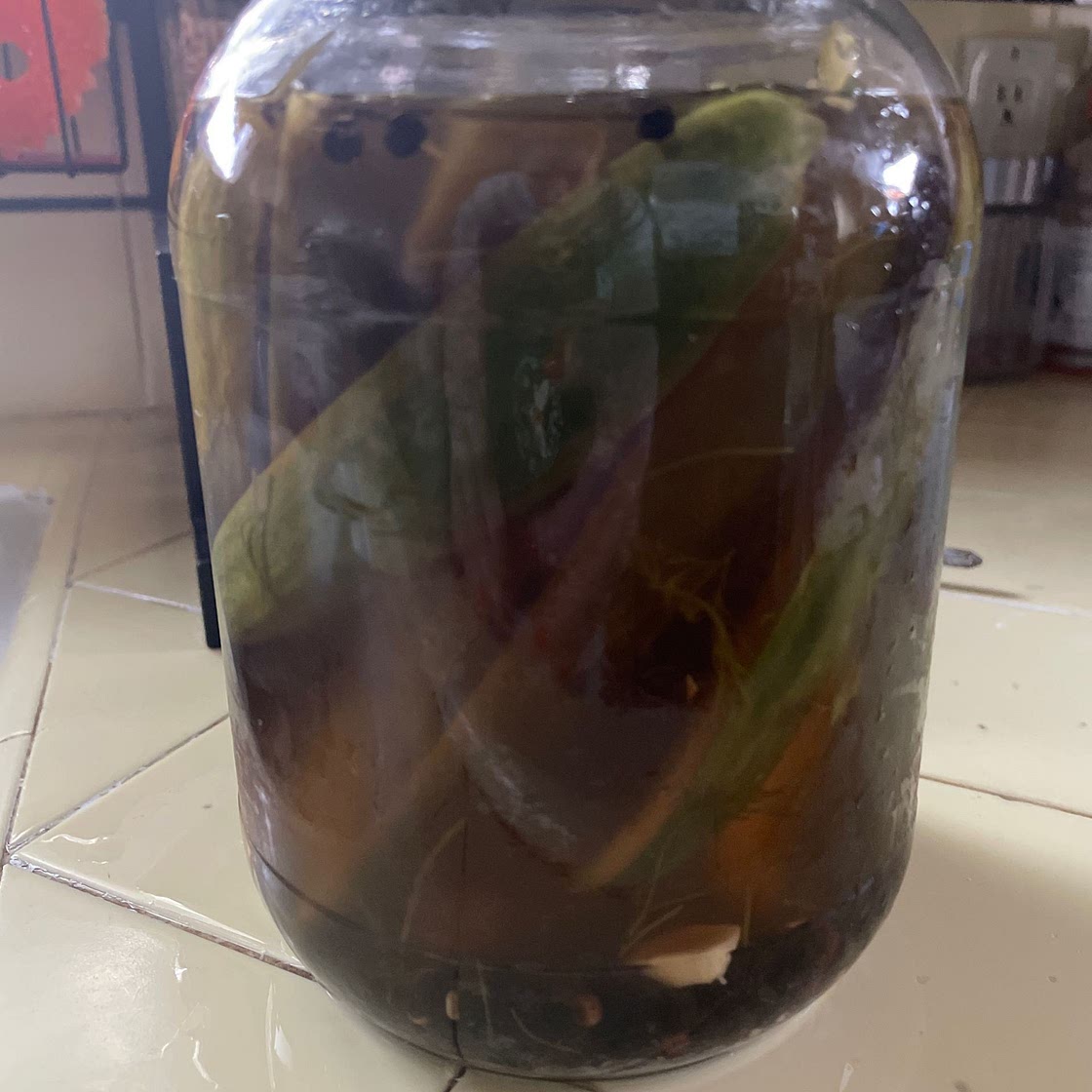 Homemade Pickles | Elissa Goodman