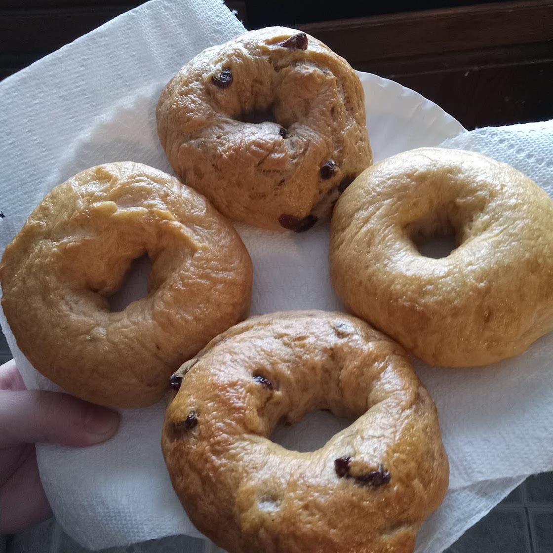 Homemade Bagels Recipe