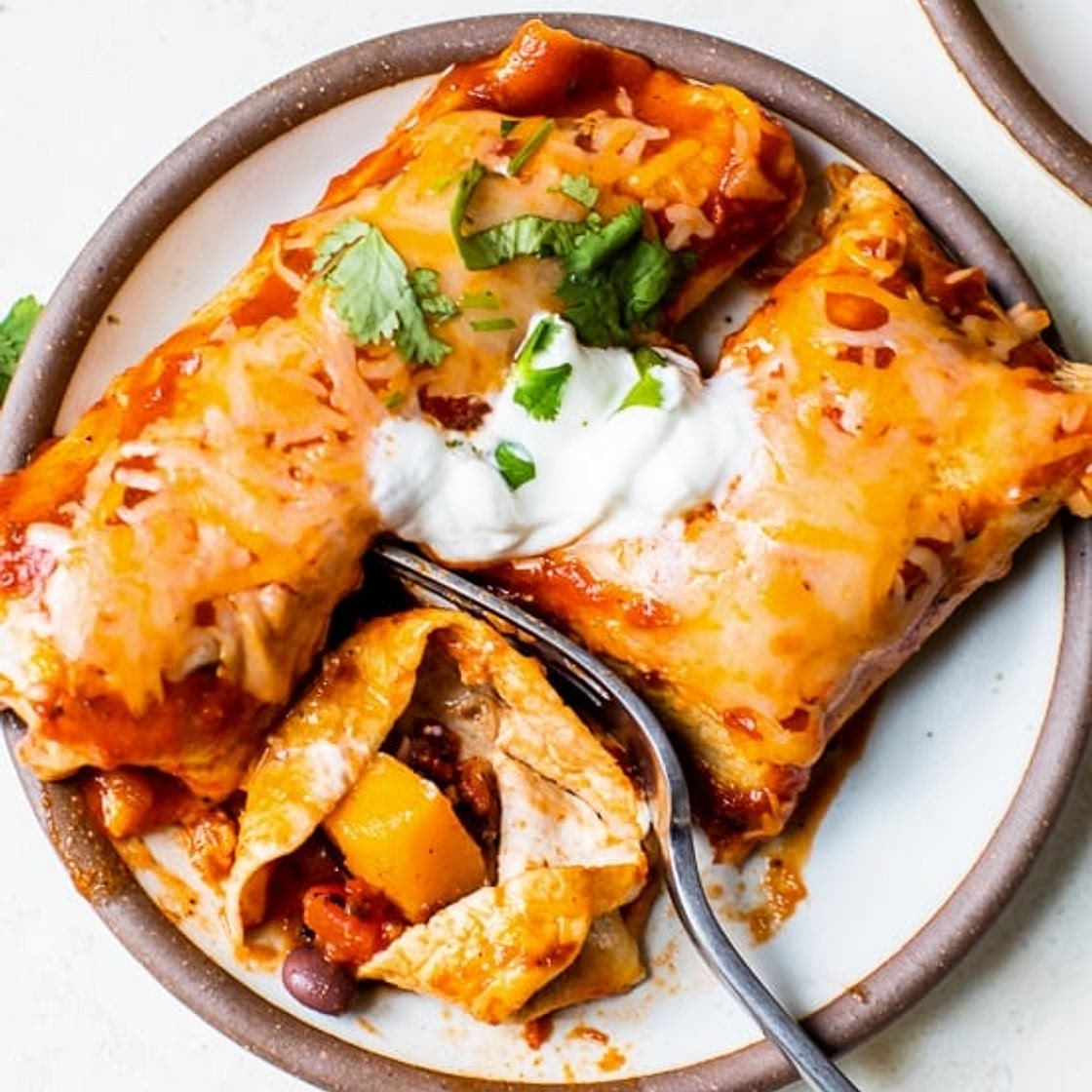 Vegetarian Butternut Squash and Black Bean Enchiladas