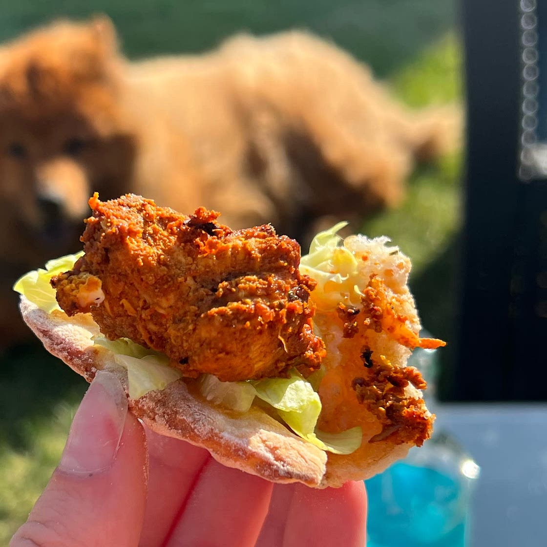 Tandoori Chicken Fillets