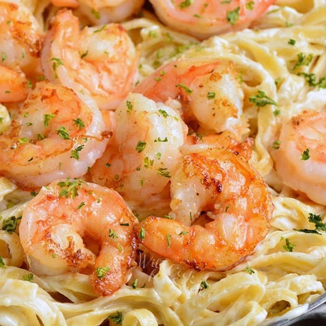 Shrimp Alfredo