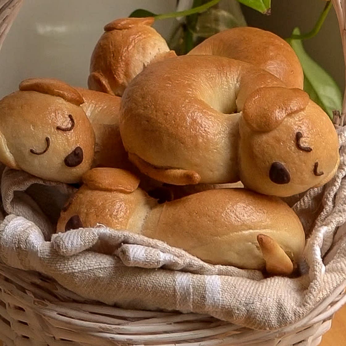 Everything Bagels (beagles) 🐶