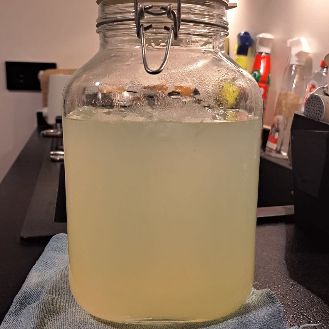 Homemade Lemonade Recipe