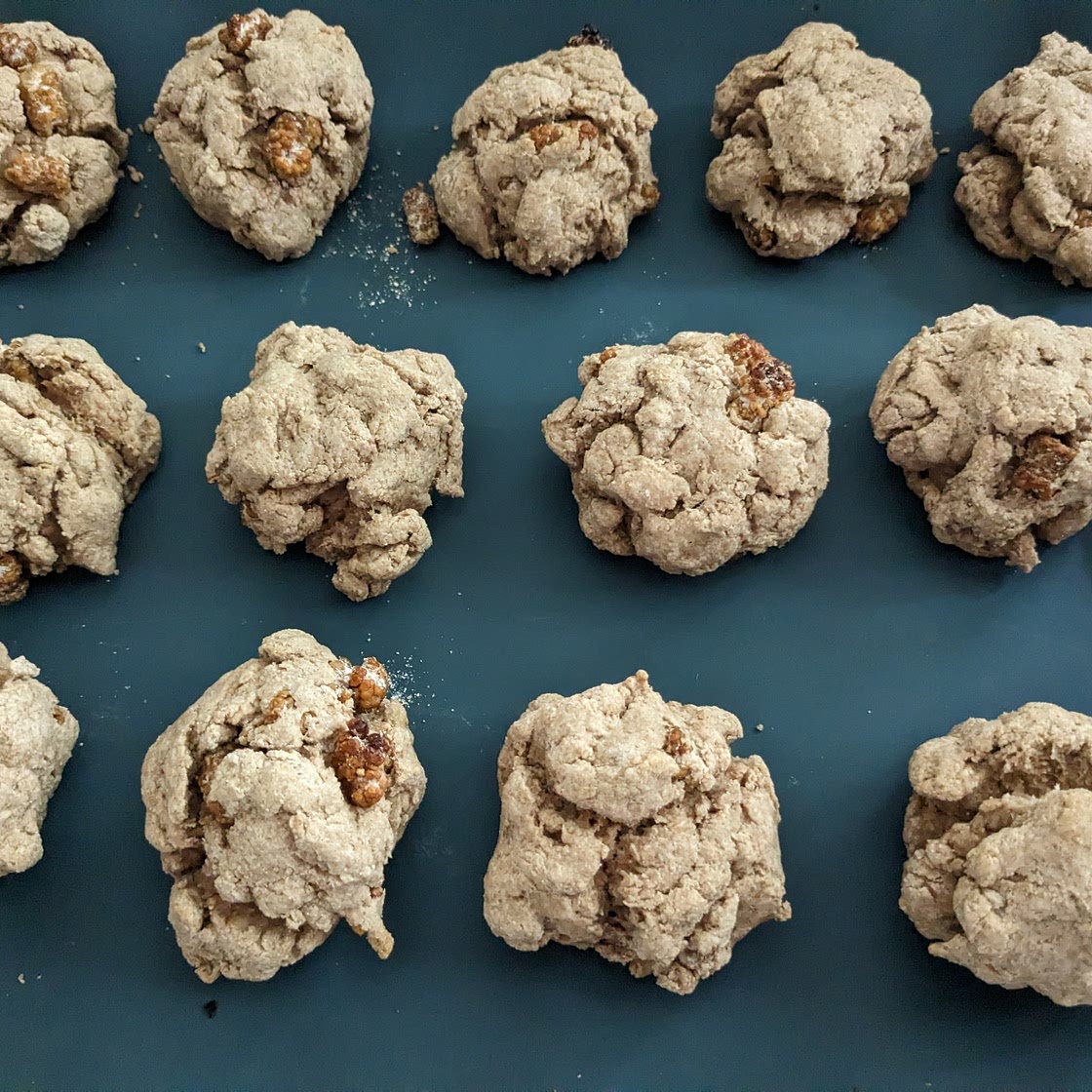 Mulberry pumpkin seed drop biscuits