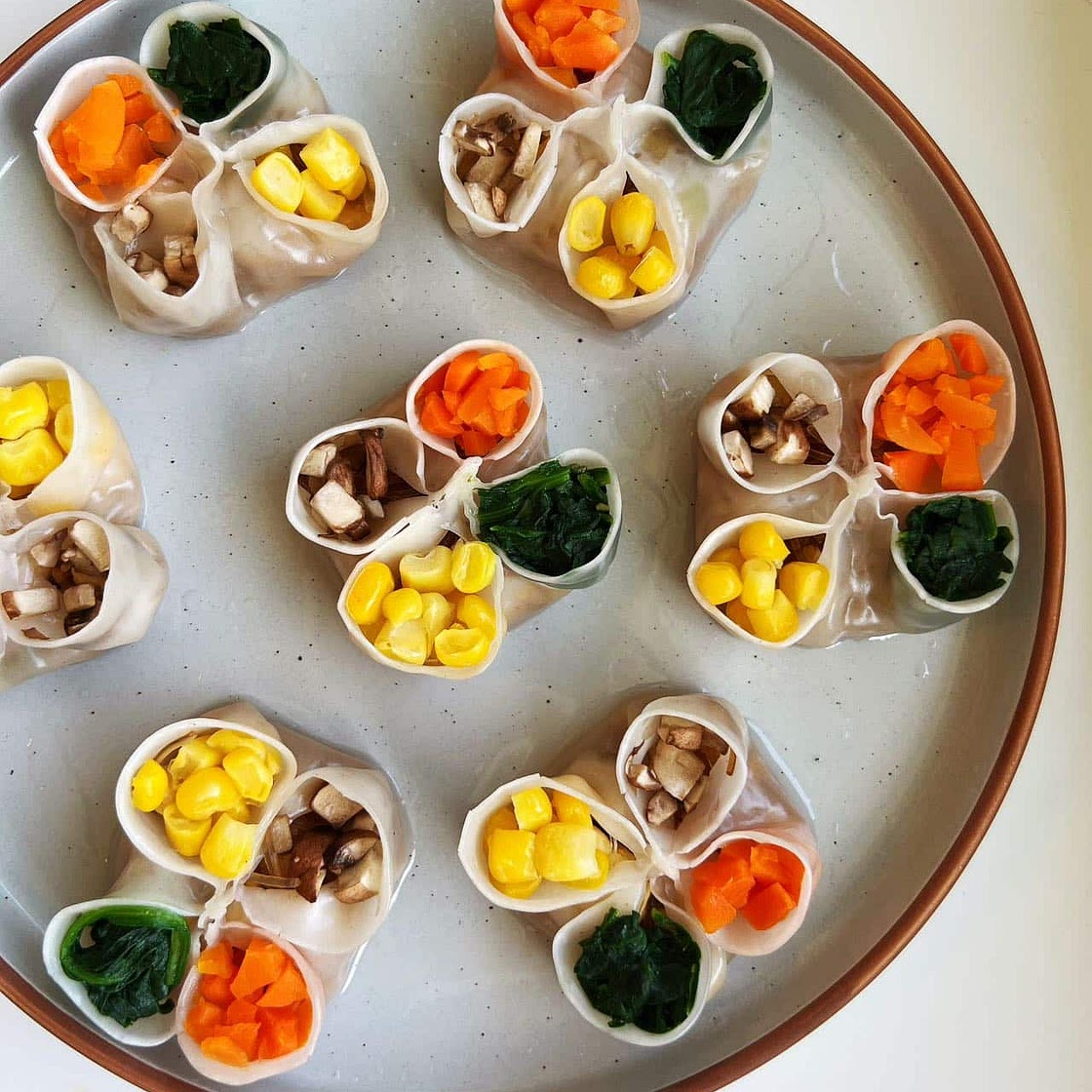 Vegetable Dumplings (vegetarian soup dumplings with agar agar)