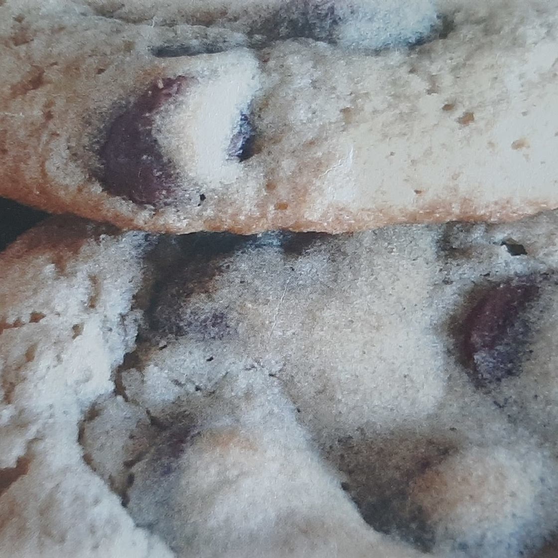 Home Bakery Chocolate Chip Cookies