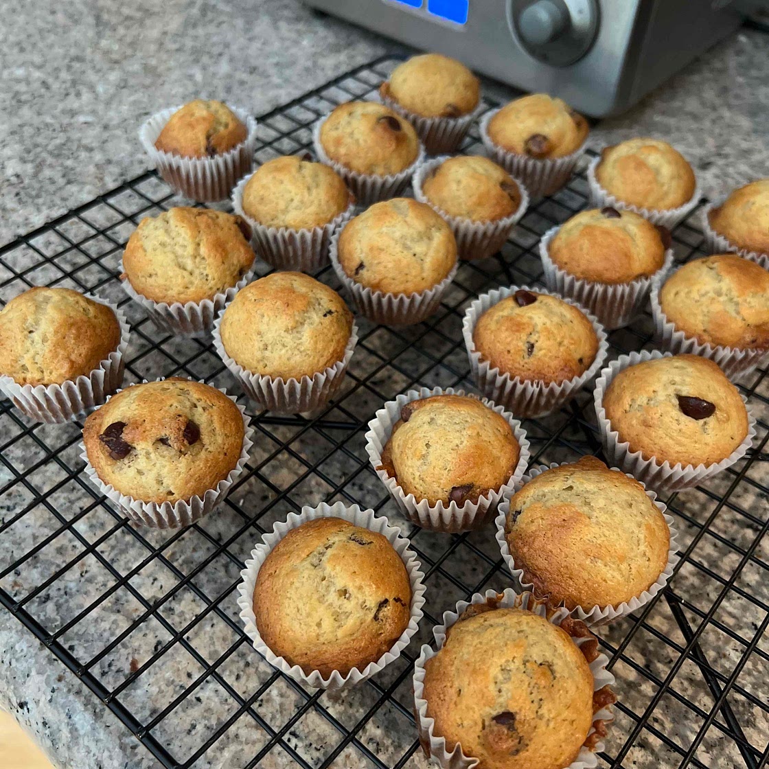 Banana chocolate chip muffins 