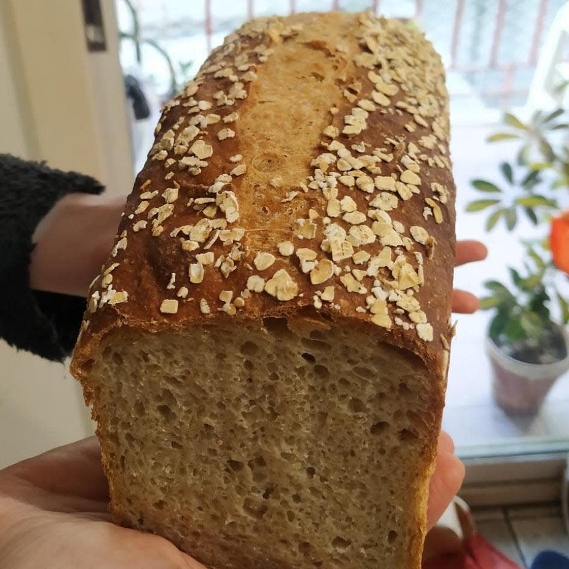 Pan masa madre