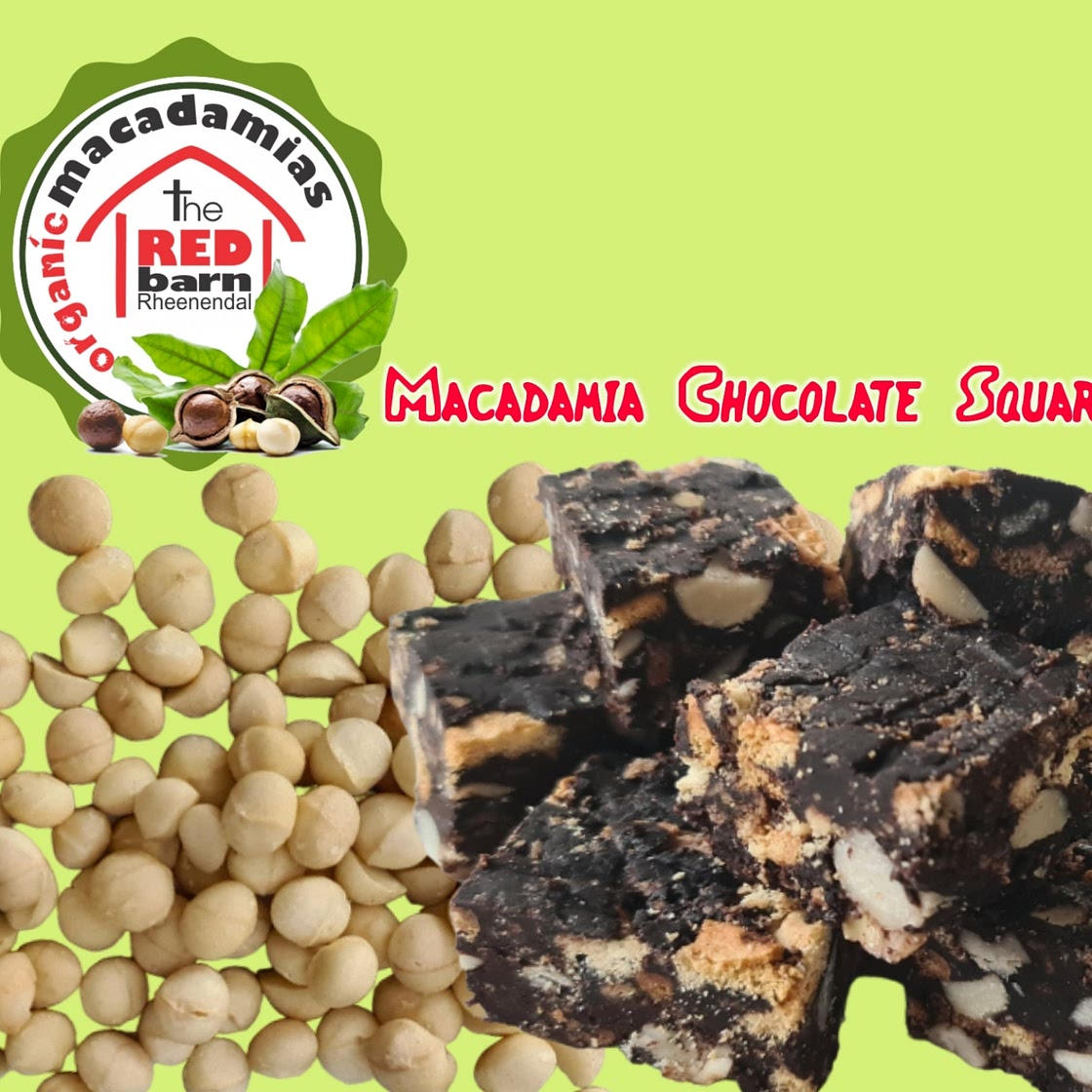 Macadamia Chocolate Squares