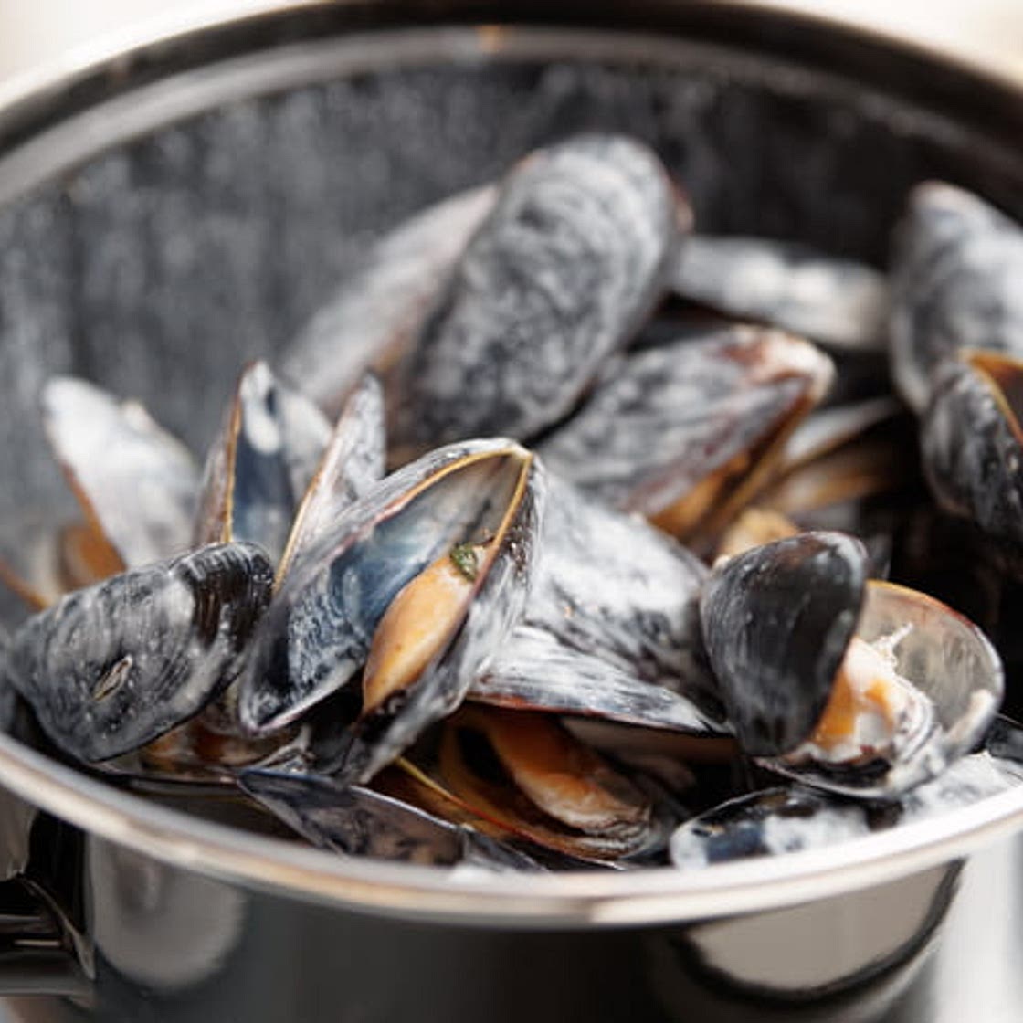 Moules faciles à la crème
