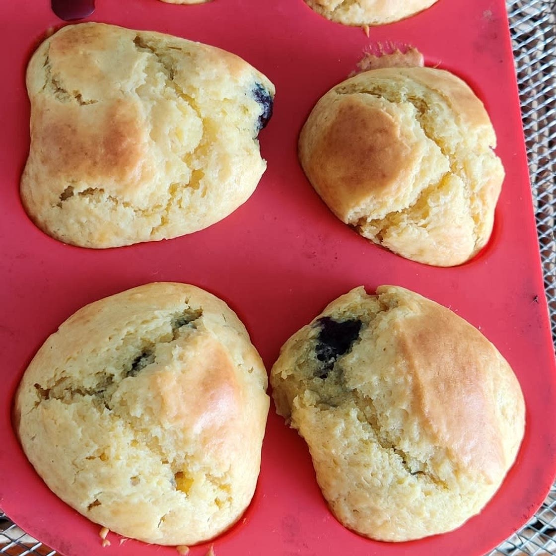 Greek Yogurt Blueberry Muffins (Low Sugar Recipe)