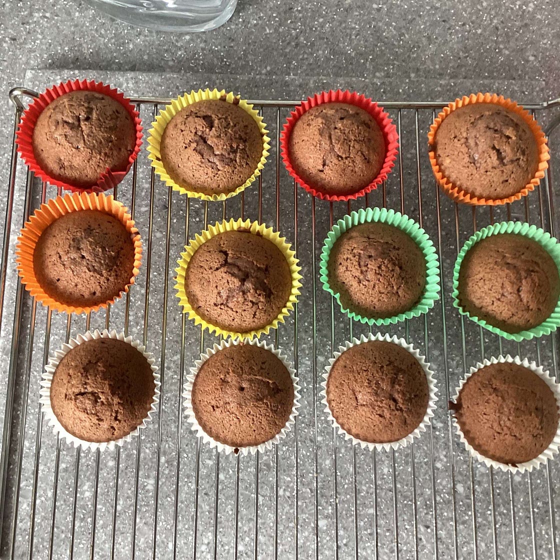 Double Chocolate Cupcakes