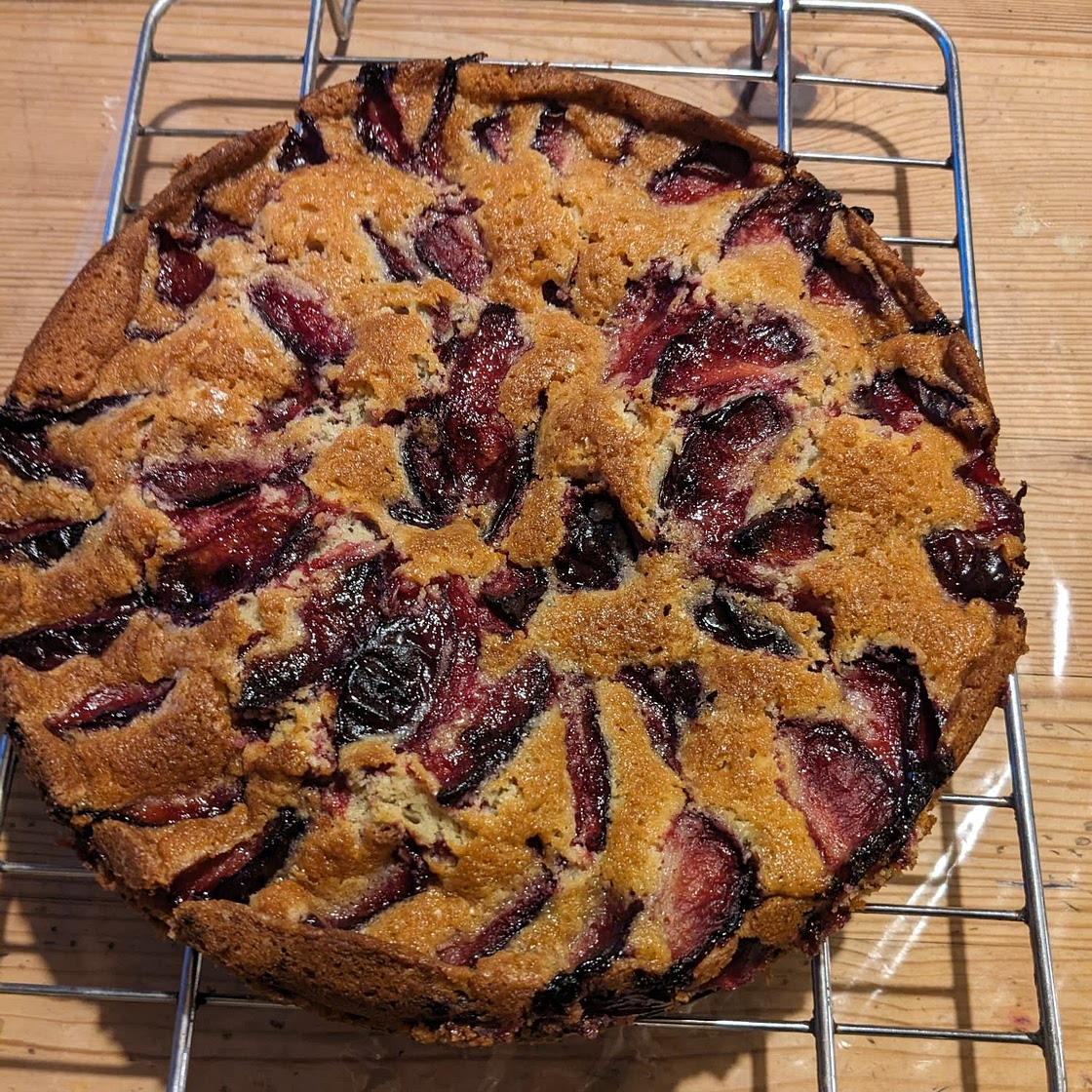Late Summer Plum Cake