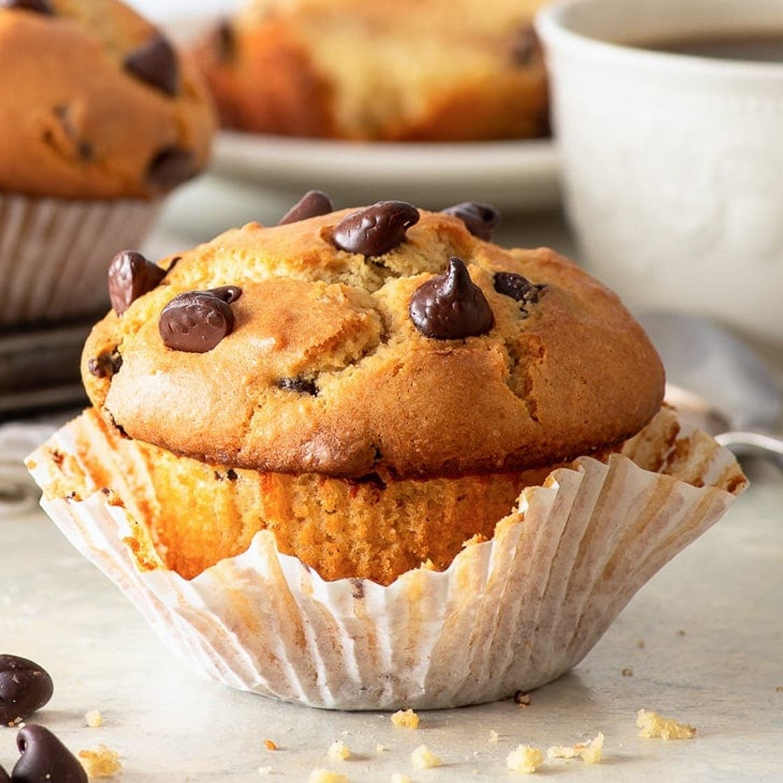 Gluten Free Bakery Style Chocolate Chip Muffins