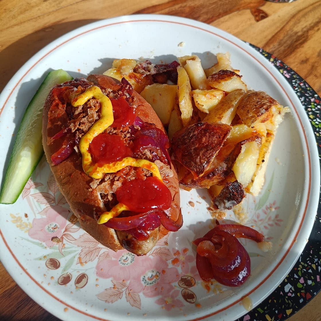 Classic Hot Dog With Sweet Onions & Cheesy Fries
