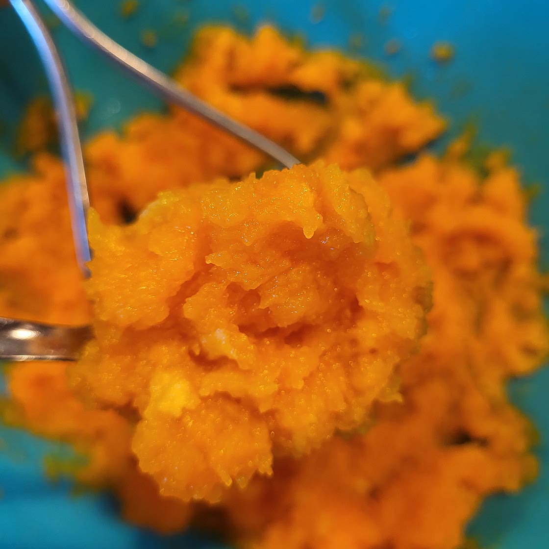 Roasted Butternut Squash Puree