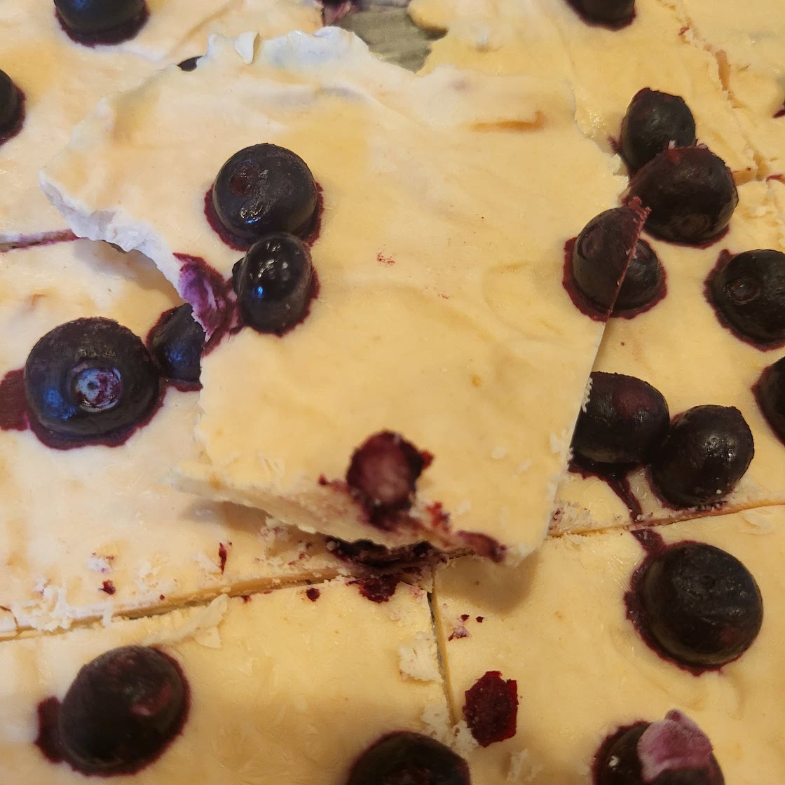 Blueberry Yogurt Bark