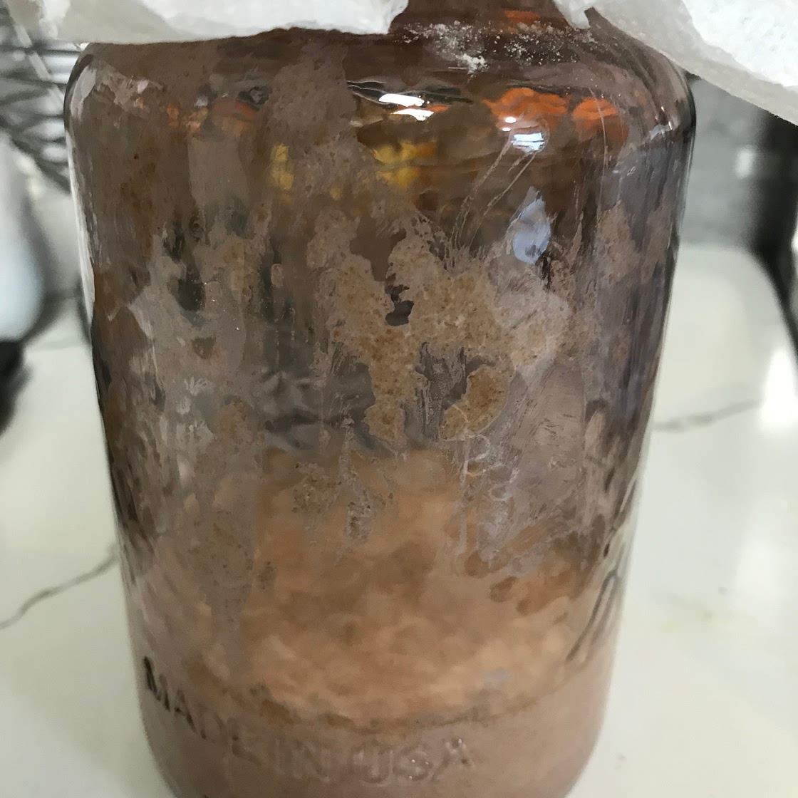 Feed Sourdough Starter