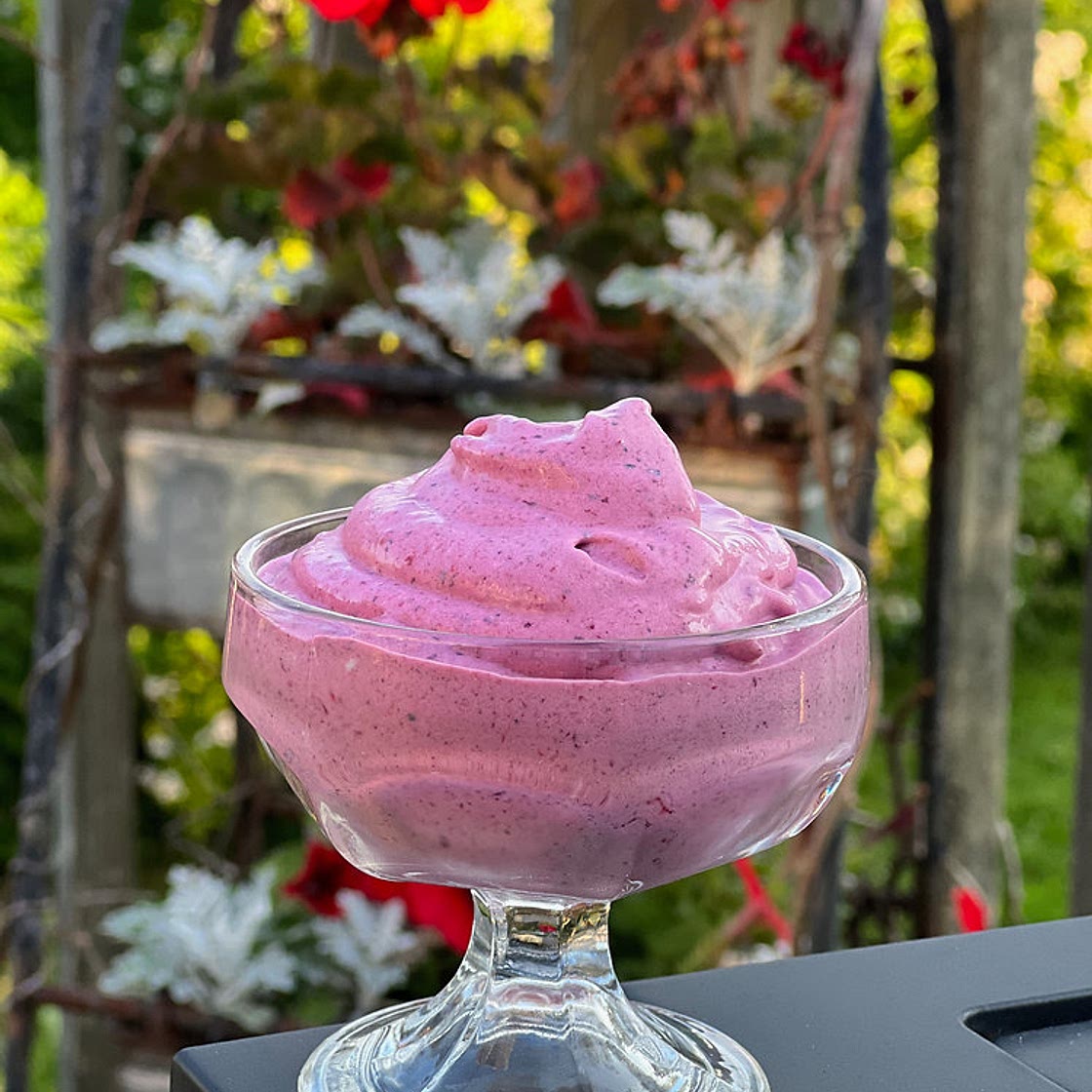Easy Greek Yogurt Ice Cream