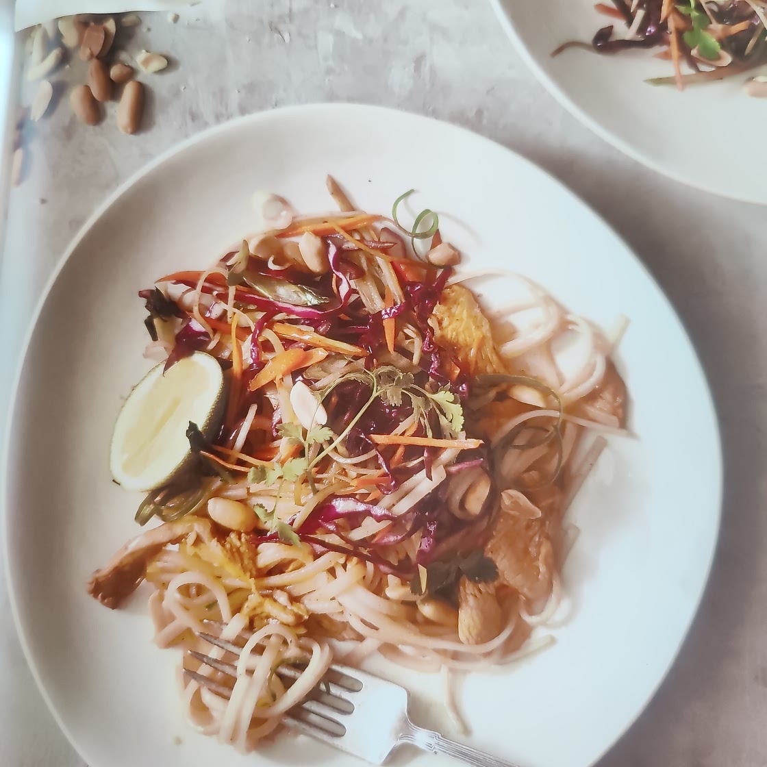 Asian Peanuts Noodles with Chicken