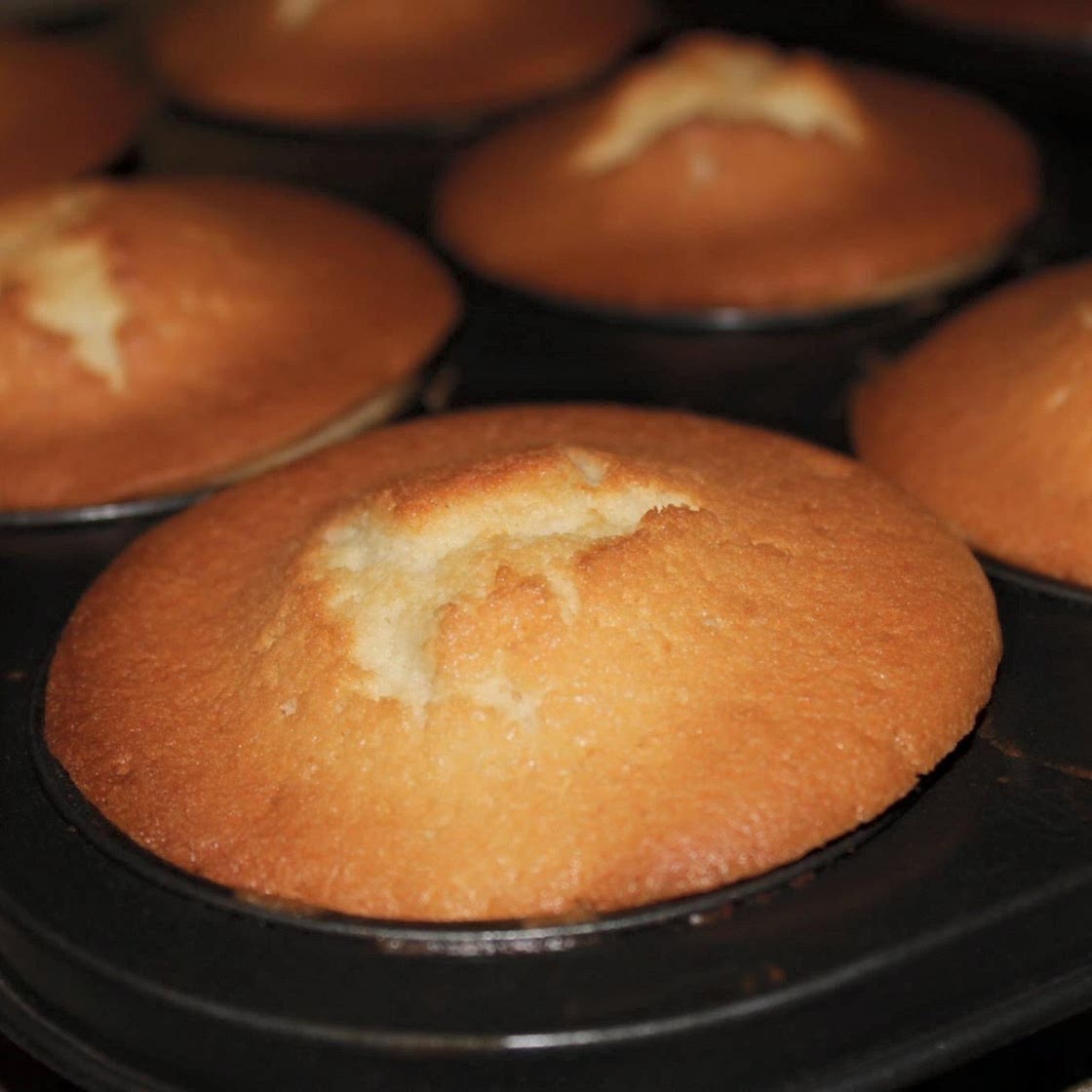 Vanilla Cupcakes
