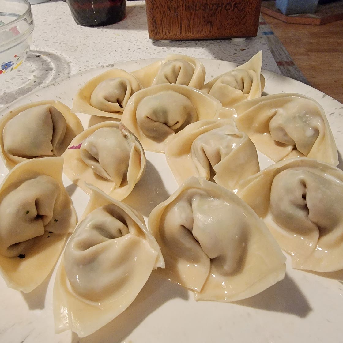 Shrimp and Pork Wontons