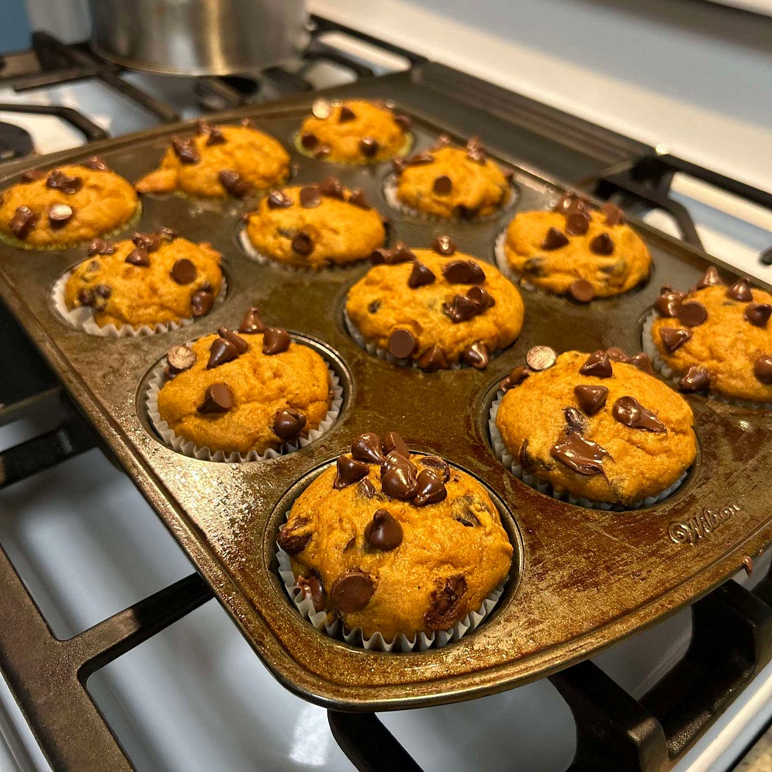 Pumpkin Chocolate Chip Muffin