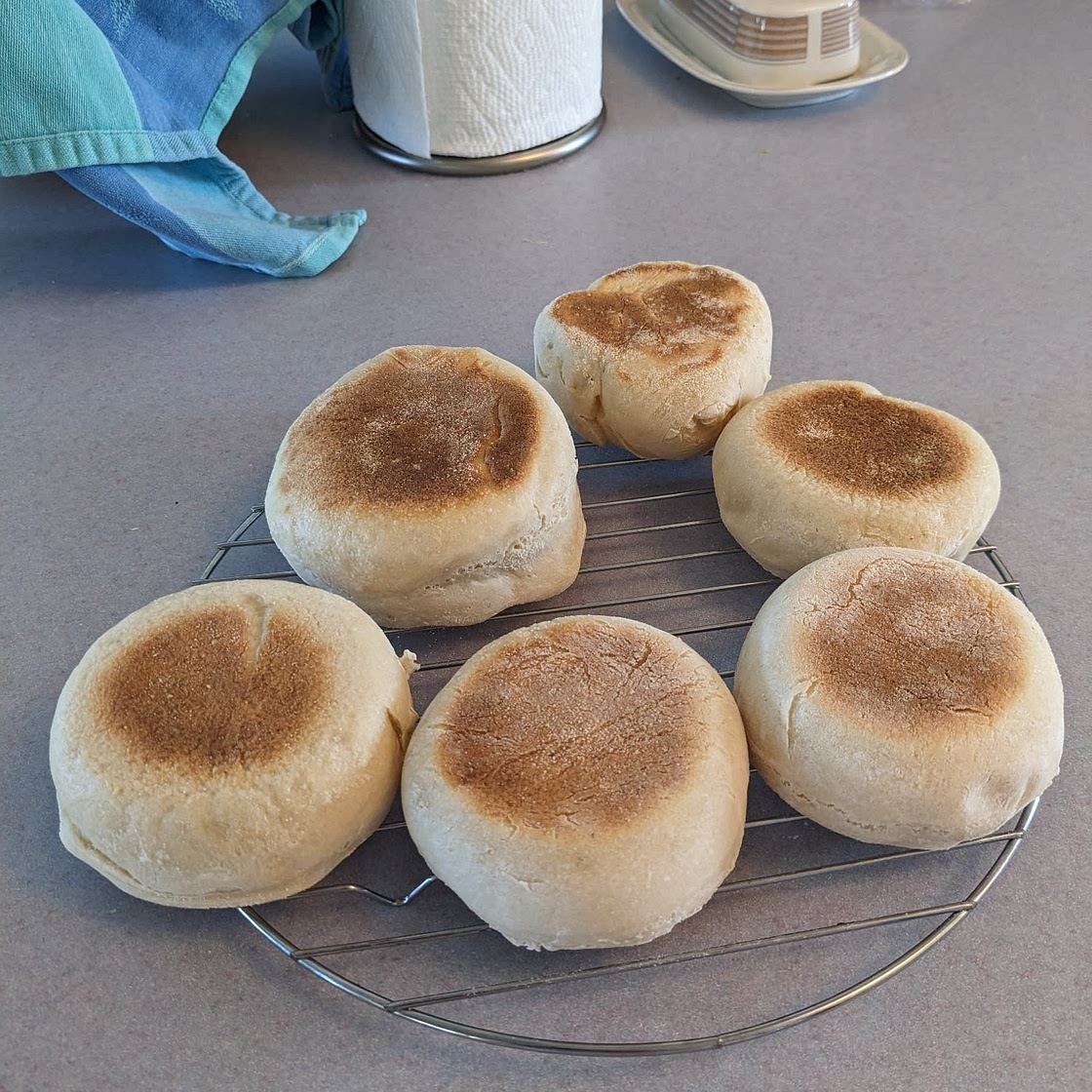 Sourdough English Muffins Recipe