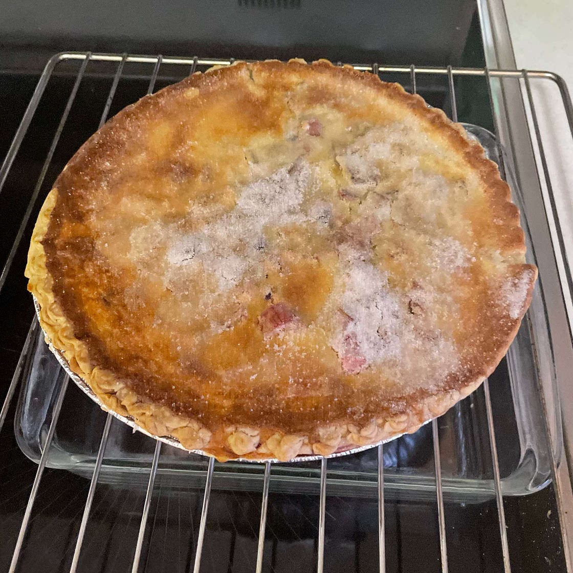 Old Fashioned Rhubarb Custard Pie