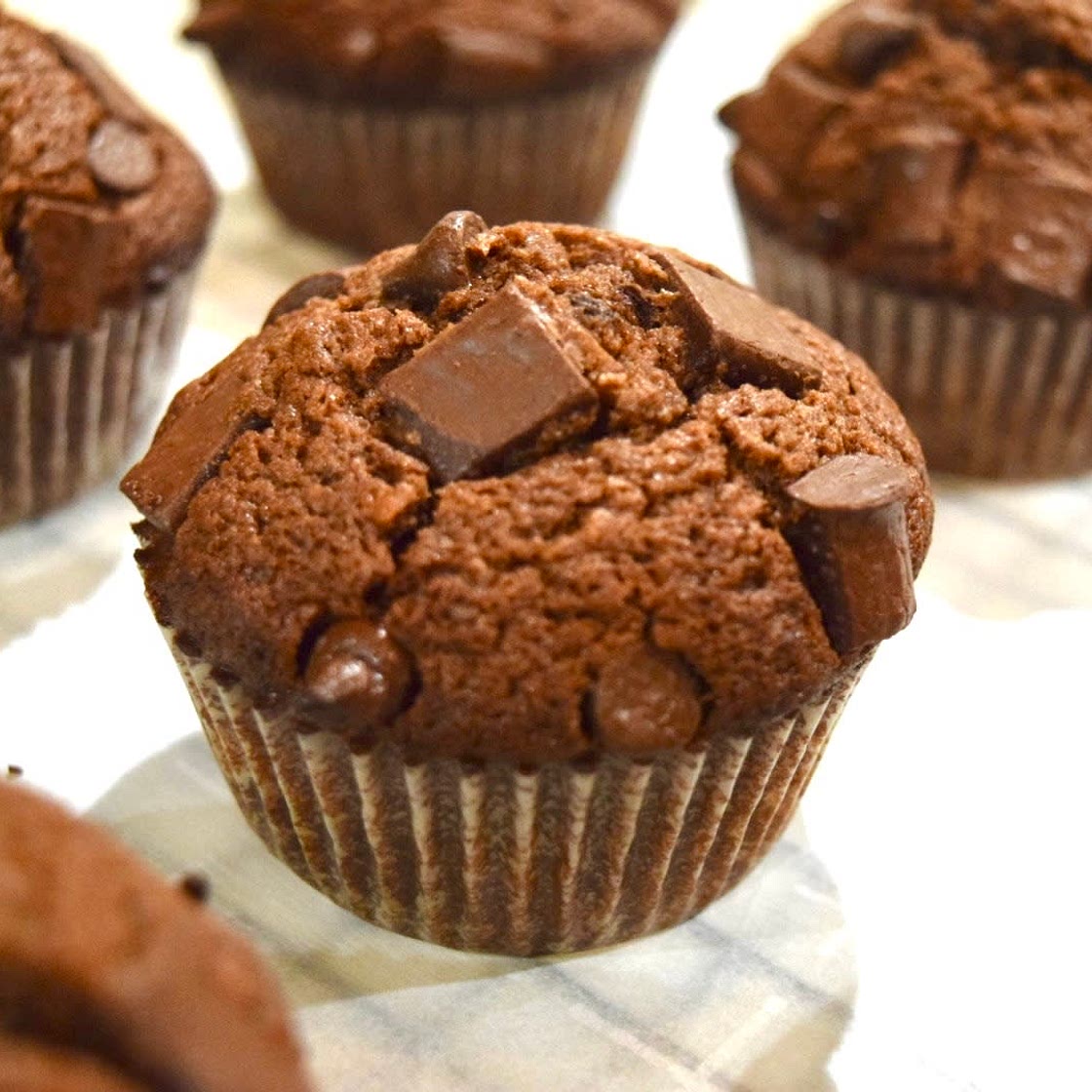 Double Chocolate Muffins
