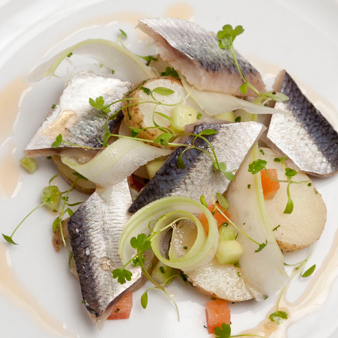 Soused herring with heritage potato, celery salad and bloody mary sauce