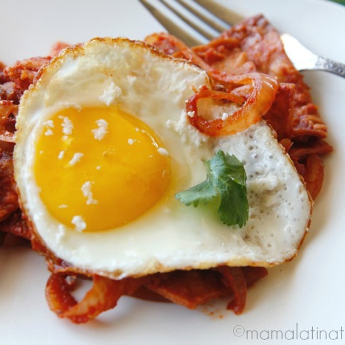 Chilaquiles and Eggs with Guajillo Sauce
